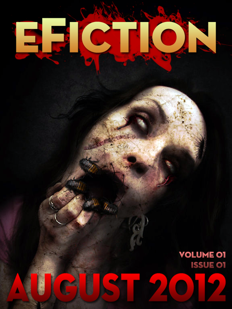 cover11